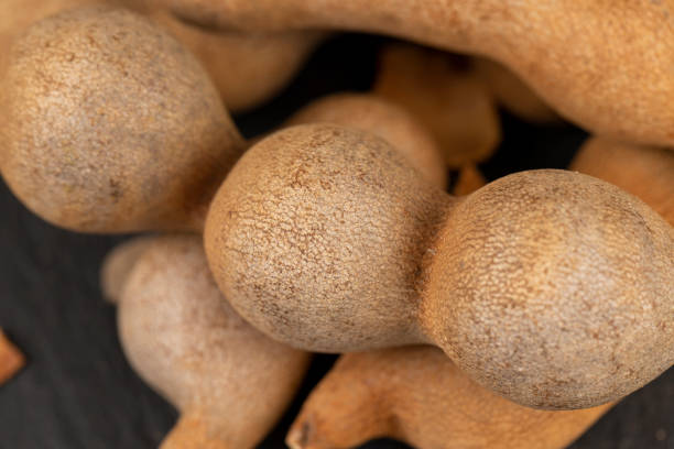 istock long ripe tamarind pods close up 1493536786