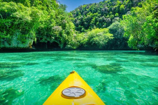 istock Palau Rock Islands Kayak Adventure 1493538585