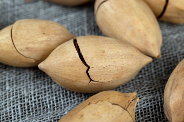 istock Unpeeled crunchy pecans close up 1493538636