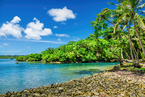 Beach with palm trees in the Rock Islands, Palau, Oceania. UNESCO World Heritage Site