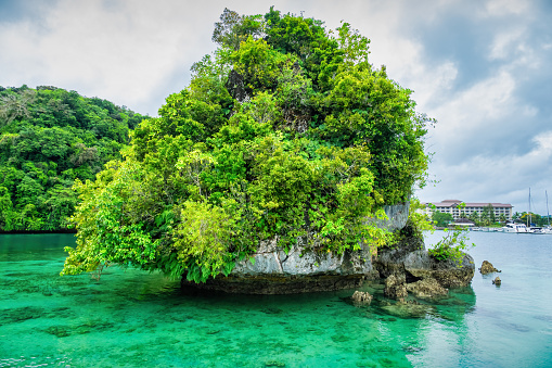Landscape with typical coral island in the Rock Islands, near Koror City, Palau, Oceania.