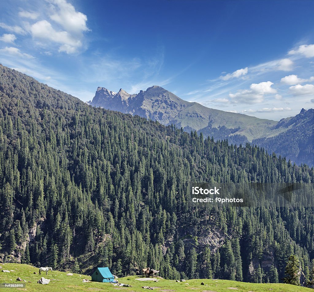Camp tent in mountain Camp tent in Himalayas mountains Asia Stock Photo