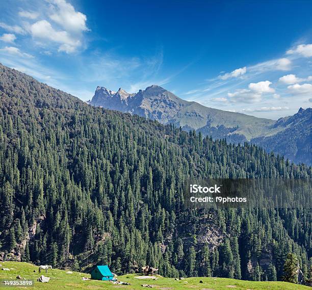 Camp Tent In Mountain Stock Photo - Download Image Now - Asia, Camping, Forest