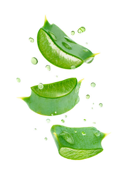 istock Aloe vera slices flying on white background with clipping path. 1493539313