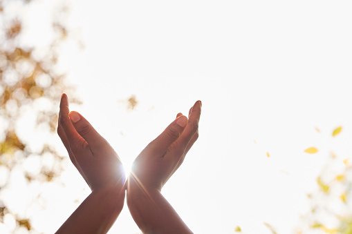 Black woman's hands held up in prayer, sunbeam from heaven, white background. High quality photo