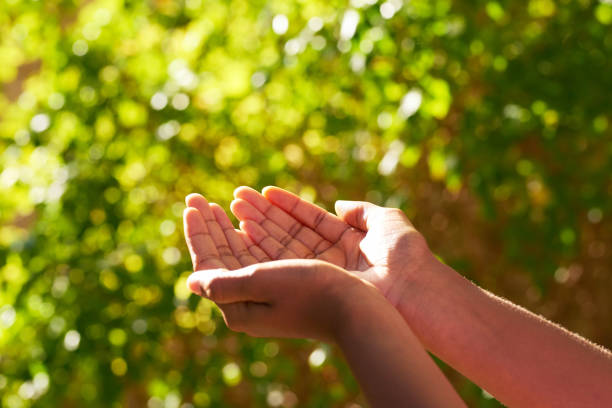 istock Black hands held in receiving prayer pose, nature green tree leaves sunlight 1493539431