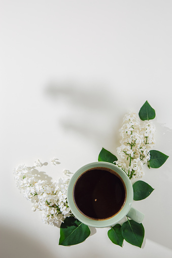 High angle view of black coffee in pastel green cup decorated with green leaves and white lilac flowers on white background with natural shadow and copy space.