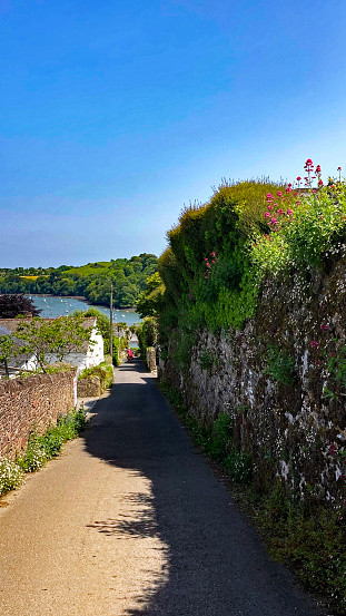 Cyclists going down the hill towards the ferry on the River Dart in Dittisham