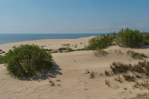 View of Staroderevenskaya dune from the height of Efa (Walnut Dune) and the Baltic Sea in the background on a sunny summer day, Curonian Spit, Kaliningrad region, Russia