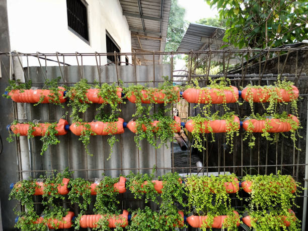 istock ornamental plants on the fence 1493549533