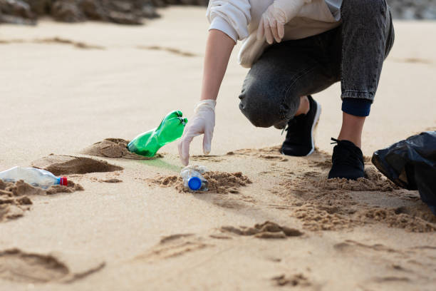 istock Female volunteer picking up trash and plastics, cleaning beach with a garbage bag, copy space 1493558315