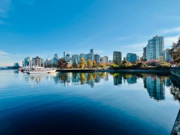 istock False creek view in downtown Vancouver by the sea with blue sky 1493563427