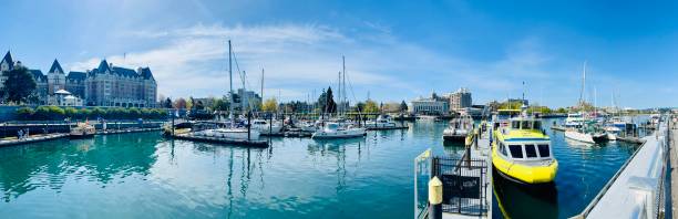 istock Marina panoramic in Victoria downtown 1493569692