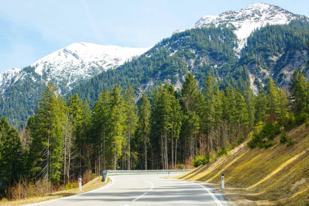 istock Driving through the Austrian Alps: A Scenic Journey in Early Spring 1493572654