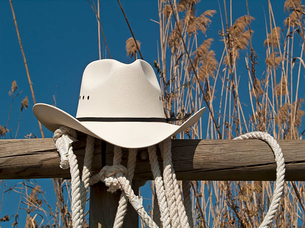 istock Cowboy hat in a fence 149357435