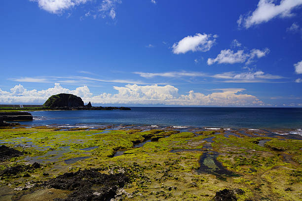landscape of Green Island