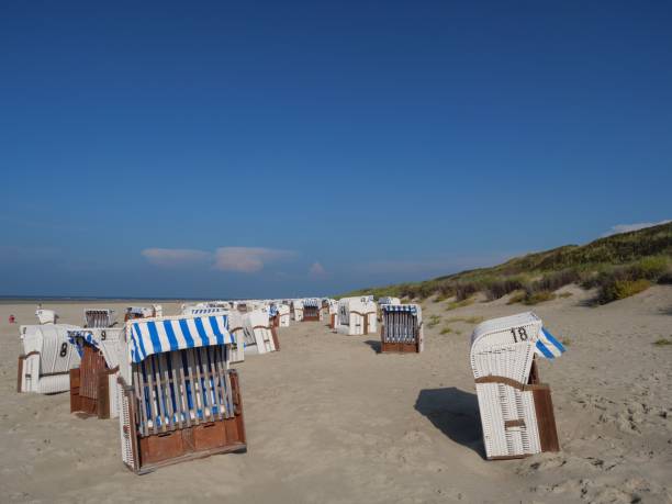 istock Sandy shore with multiple beach chairs. Spiekeroog, Germany. 1493580117