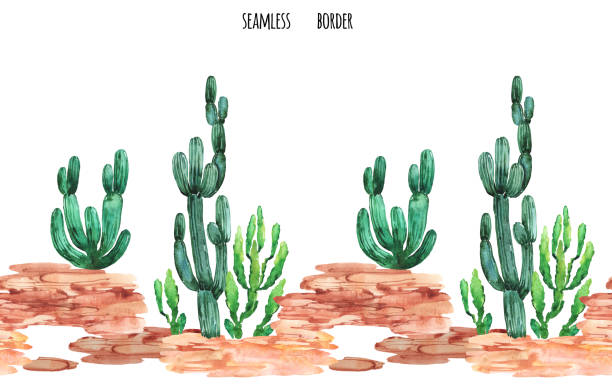 Desert Spring Border 4,100+ Desert Area Borders Stock Illustrations, Royalty-Free Vector ...