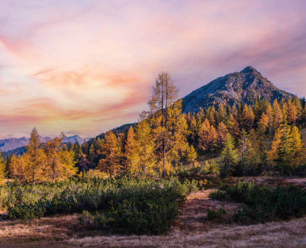 istock Peaceful autumn Alps mountain view. Reiteralm, Steiermark, Austria. 1493582579