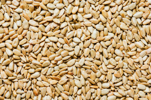 istock Peeled sunflower seeds. 1493584843