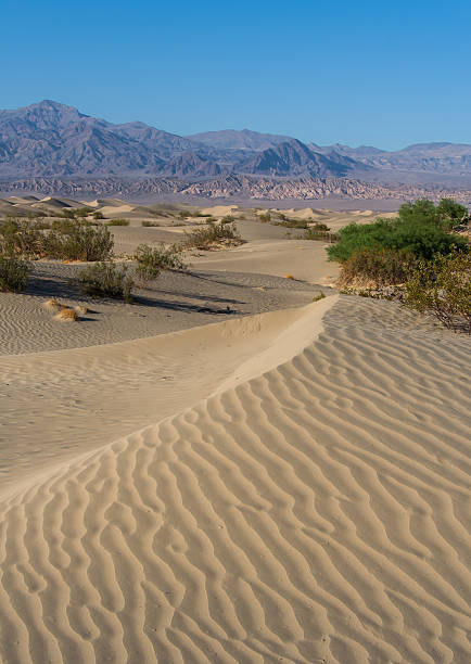 istock Sand Dunes in Death Valley 149358728