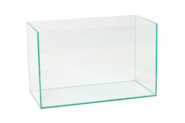 istock An empty glass aquarium isolated on a white background 149358825