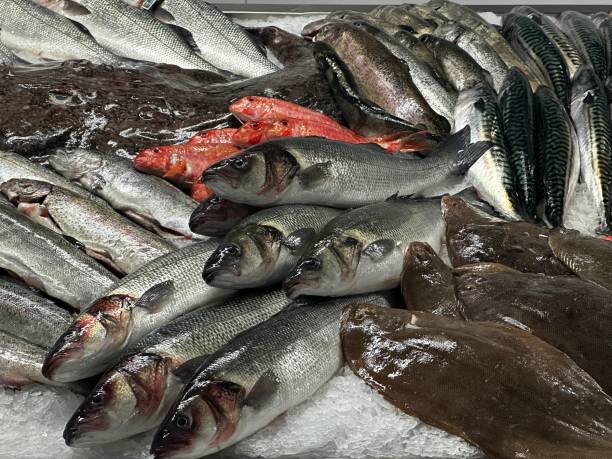 istock Various fresh fish like sea bass and sea bream 1493588821