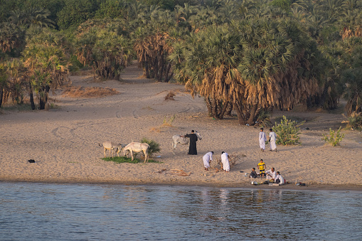 Edfu, Egypt - April 24, 2023: Group of peasants with their animals on the banks of the Nile River