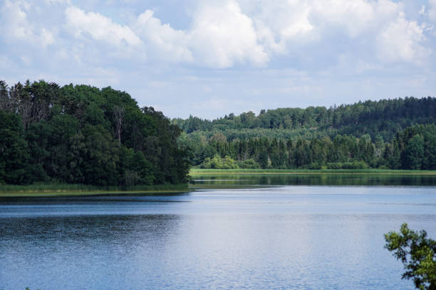 istock Scenic view of lake against sky during summer 1493595166