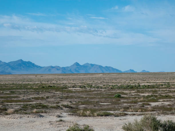 istock Mountain range in the remote desert of western Utah. 1493596569
