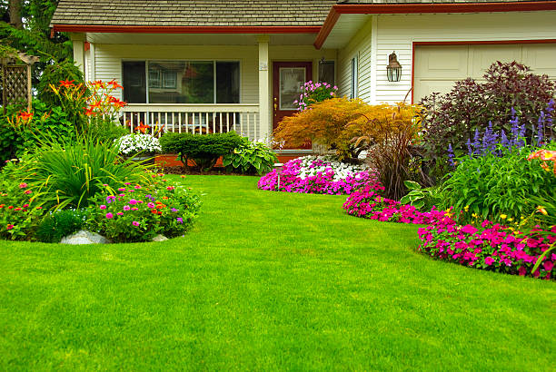 manicured casa e jardim - flower bed front or back yard ornamental garden flower imagens e fotografias de stock