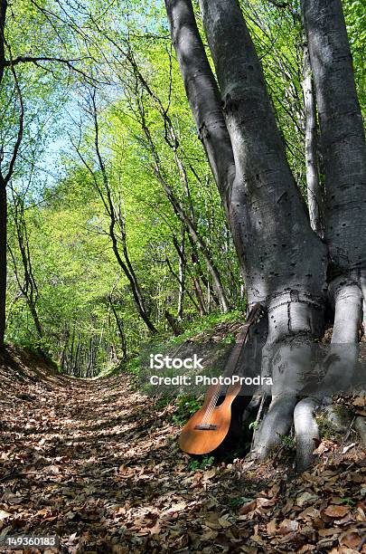 Stary Gitara - zdjęcia stockowe i więcej obrazów Bez ludzi - Bez ludzi, Ciemny, Drewno - Tworzywo