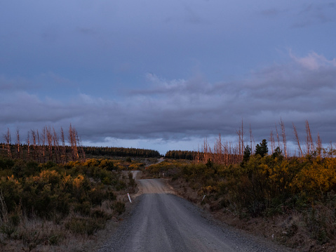 Dirt road wind through bush land in sunrise light in the southern highlands of New South Wales