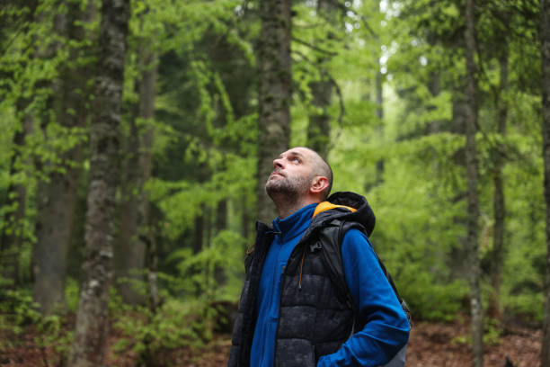 istock The traveler man walking in forest 1493609973