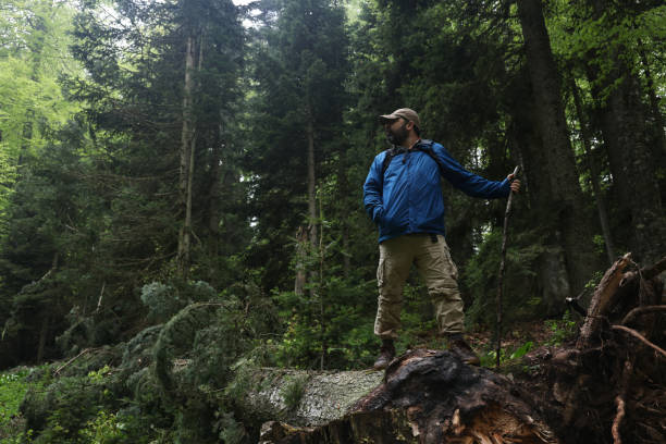 istock The traveler man walking in forest 1493610084