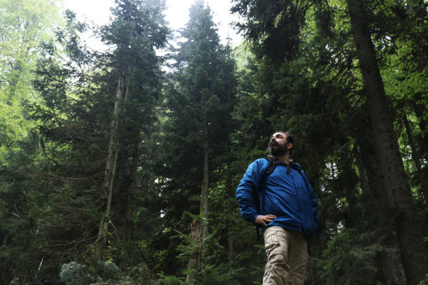 The traveler man walking in forest