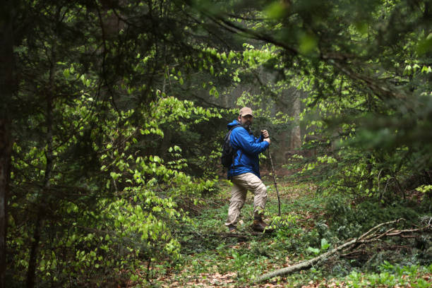 istock The traveler man walking in forest 1493610247