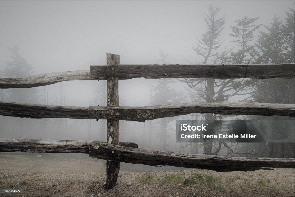 Worn Wooden Mountain Fence I An old worn wooden fence atop Mount Mitchell seen in the dense fog of a cloud with spruce trees and fog behind. Appalachia Stock Photo