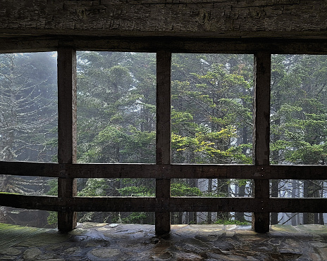 View of spruce trees in the fog of a mountaintop cloud from behind an observation deck made of thick timber posts and stone floor. Pictured on top of Mount Mitchell at the Visitor's Center, Blue Ridge Mountains, North Carolina.