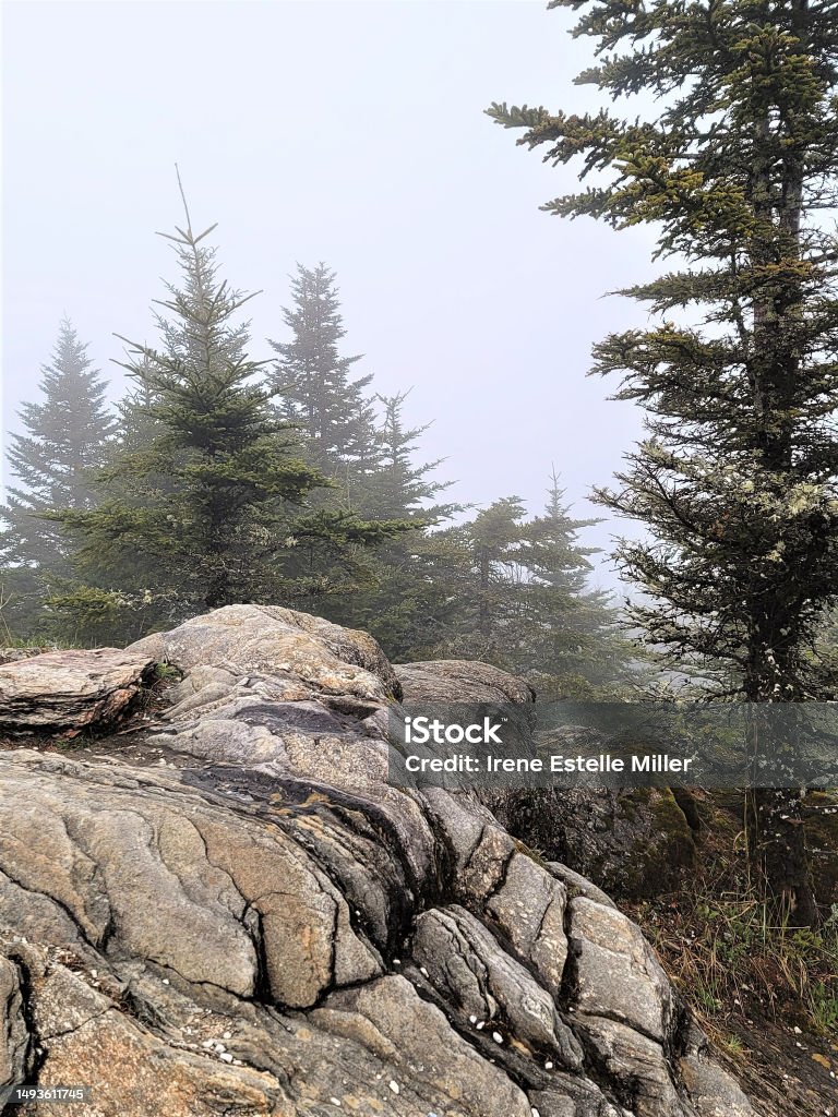 Mount Mitchell Peak Exposed bedrock formation and spruce trees which exist on the peak of Mount Mitchell - the highest point in the Eastern United States - of the Blue Ridge Mountains in North Carolina. Appalachia Stock Photo