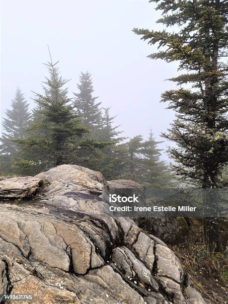 Mount Mitchell Peak Stock Photo - Download Image Now - Appalachia, Appalachian Mountains, Bedrock