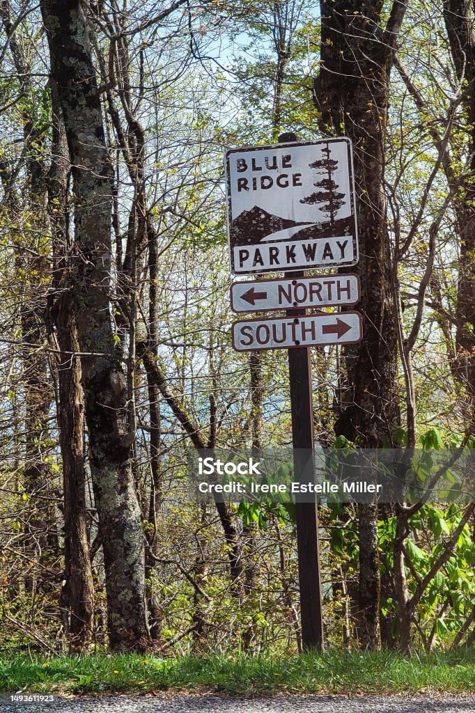 North Carolina Aesthetic Quirky, nostalgic photograph of a roadway sign along the Blue Ridge Parkway in North Carolina with springtime trees sprouting new leaves behind. National Forest Stock Photo