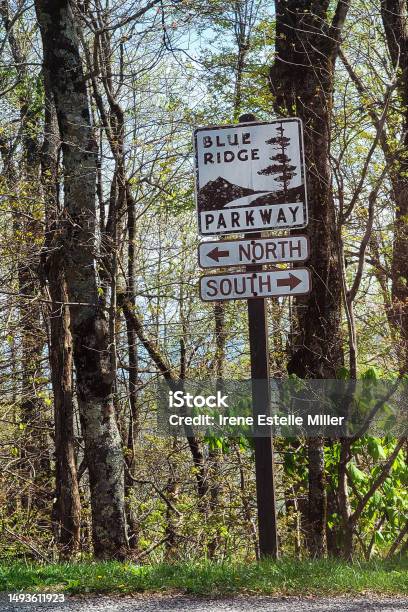 North Carolina Aesthetic Stock Photo - Download Image Now - National Forest, North Carolina - US State, Appalachia