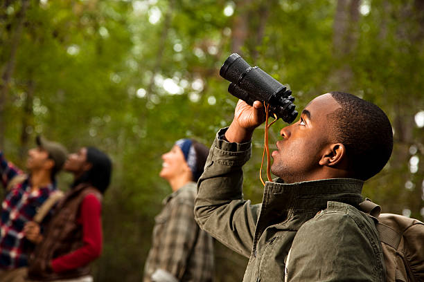 Group of friends camping and hiking using binoculars. Bird watching. Group of friends camping and hiking using binoculars    bird watching photos stock pictures, royalty-free photos & images