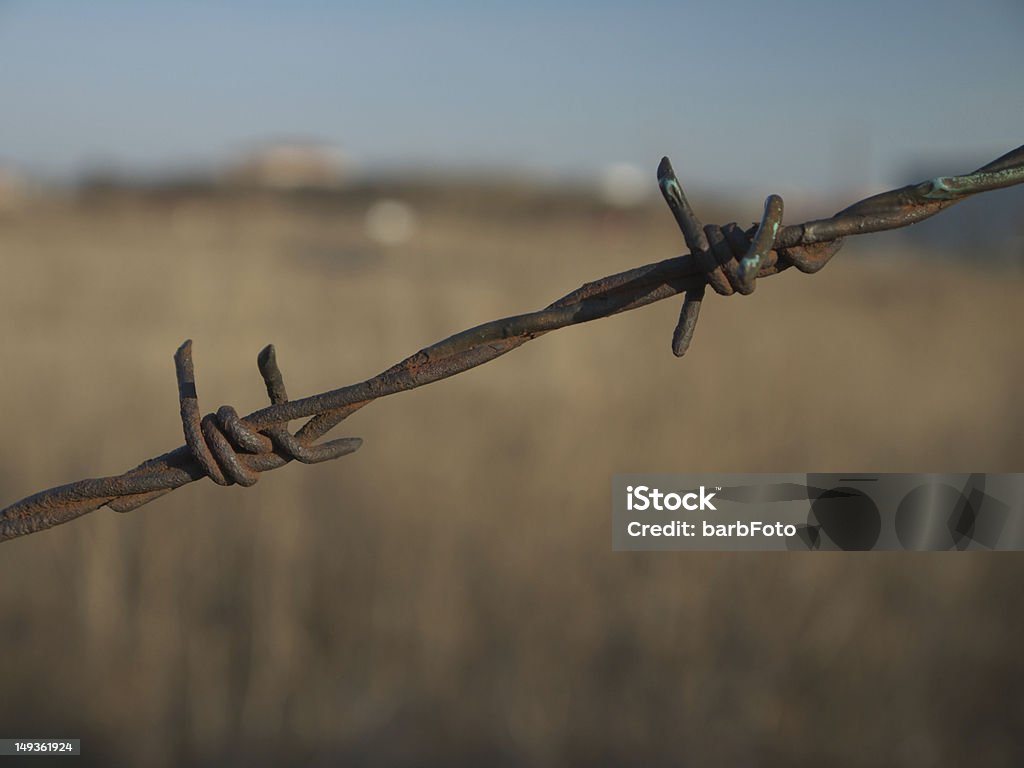 Stacheldraht - Lizenzfrei Fotografie Stock-Foto