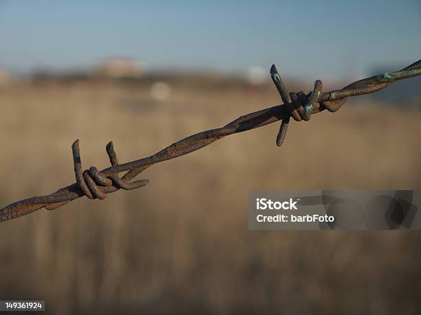 Stacheldraht Stockfoto und mehr Bilder von Fotografie - Fotografie, Gefahr, Horizontal