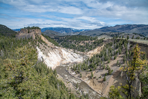 Yellowstone River cuts a deep canyon as it moves north in the Yellowstone Ecosystem in western USA and North America.  Nearest cities are Gardiner, Cooke City, Bozeman, Billings, Montana, Jackson, Wyoming, Salt Lake City, Utah and Denver, Colorado.