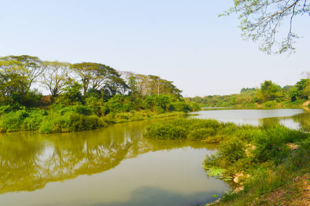 istock Yom River Bow, Rim Nam Yom Park, Phrae, Thailand 1493630244