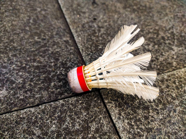 istock Used badminton shuttlecock lying on the asphalt ground 1493635132