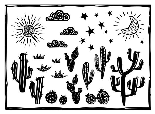 illustrations, cliparts, dessins animés et icônes de éléments de paysage désertique. cactus, plantes succulentes, soleil, lune et étoiles. gravure sur bois vectorielle dans le style cordel brésilien - gravure sur bois